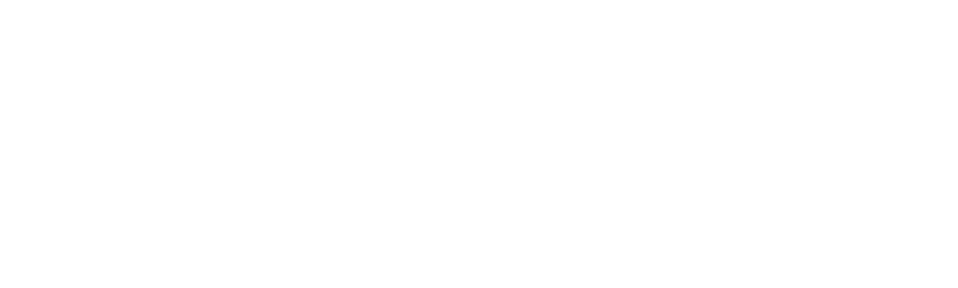 Ludewig.Team logo